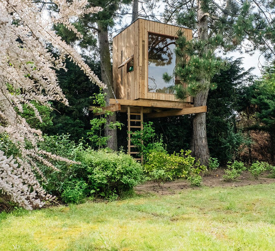 Hogerhuis Boomhutten